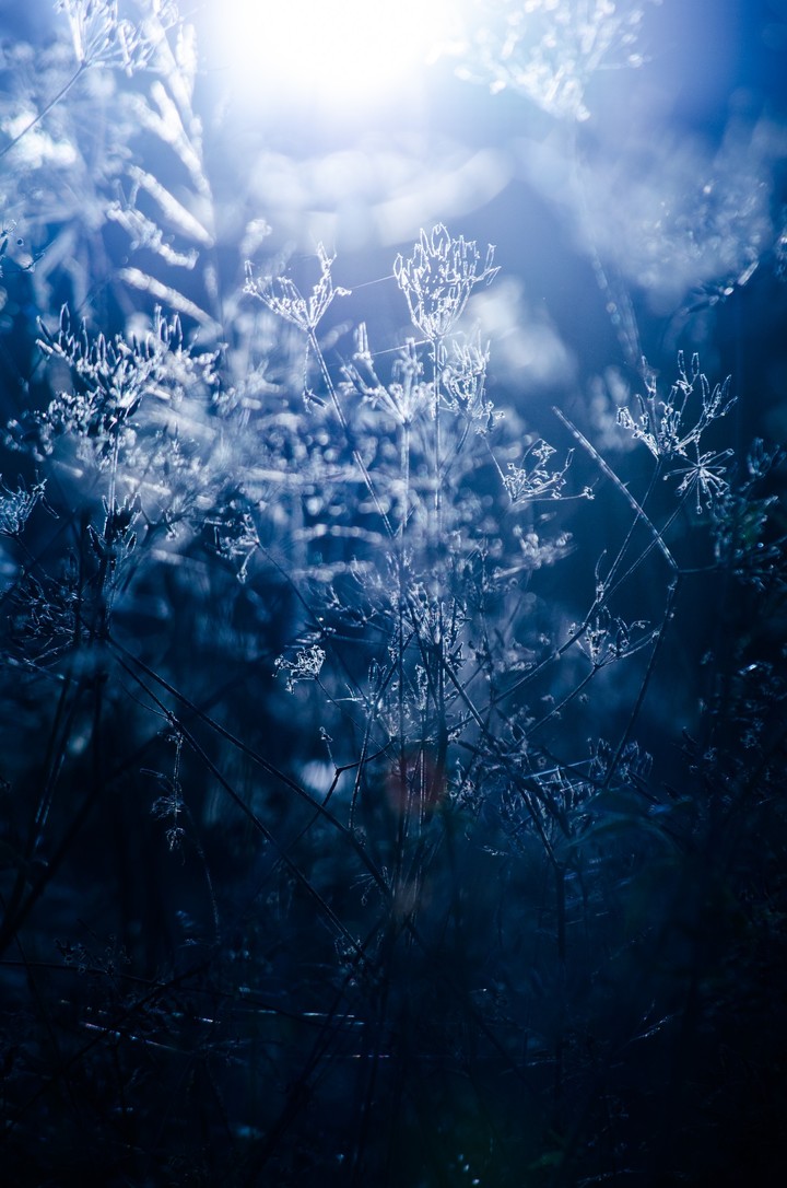 blue