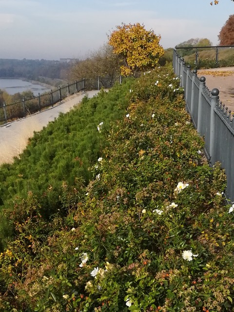 Autumn