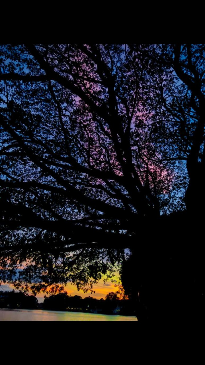 awesome tree