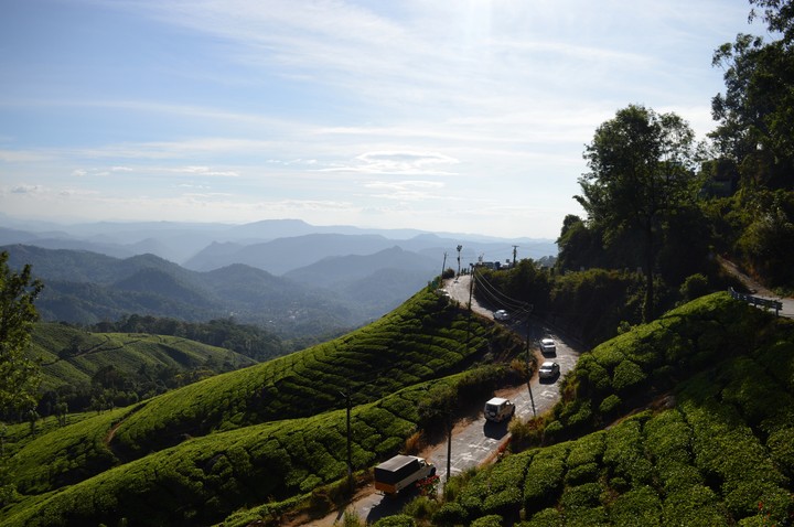 Munnar Tea Plantations