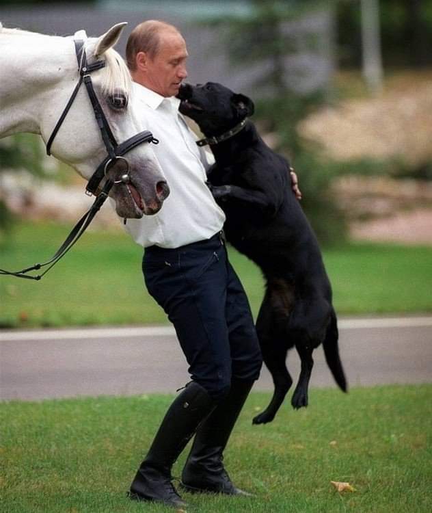 РОССИЯ ??