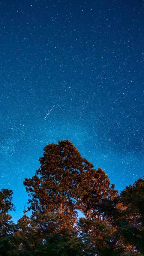 fondos de pantalla Constellation, star
