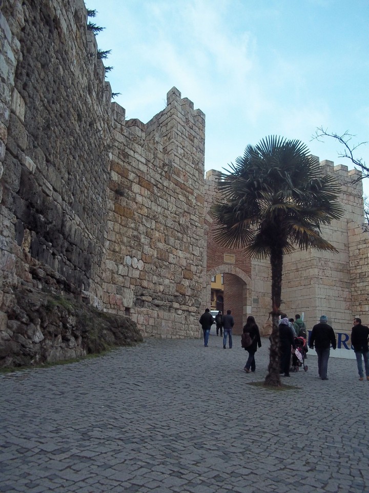 Bursa