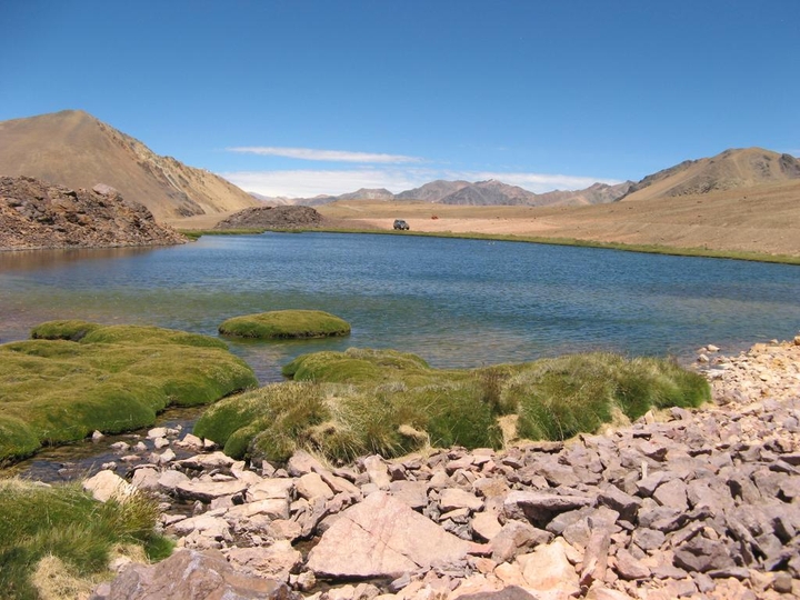 Lago