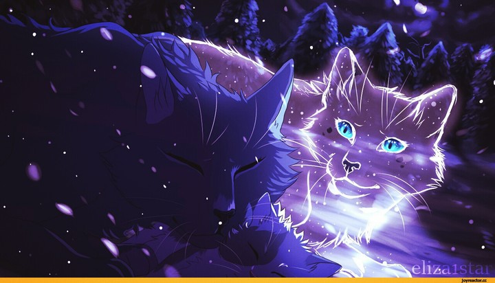 кошка с котёнком и кошка