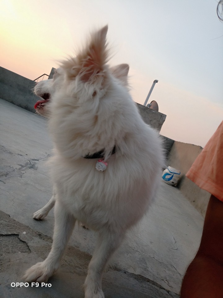 who is there