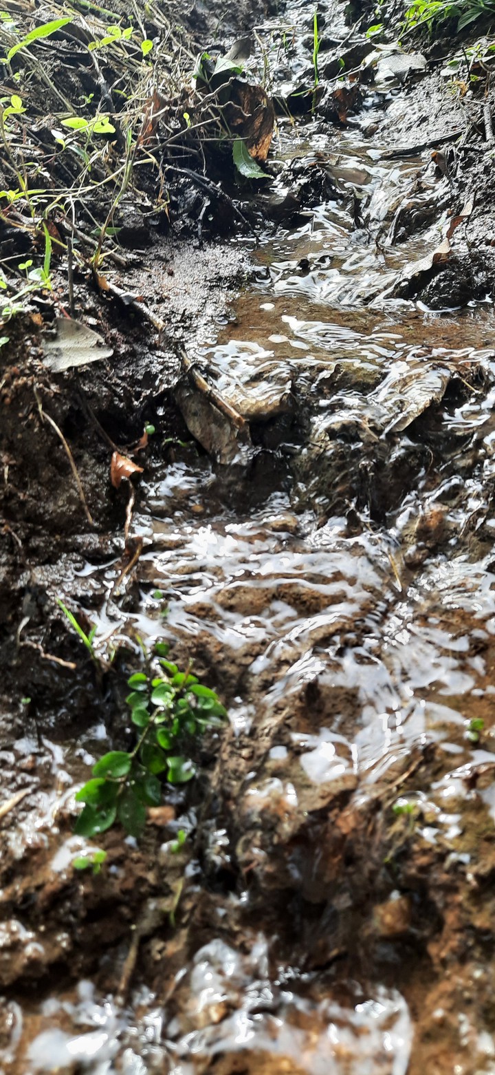 Tiny River