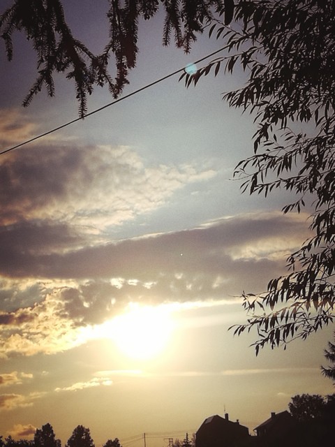 sun