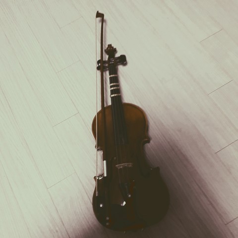 violin