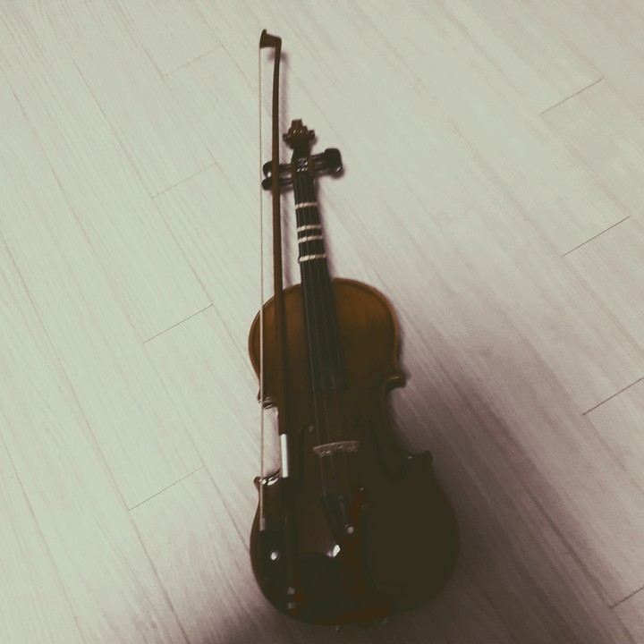 violin