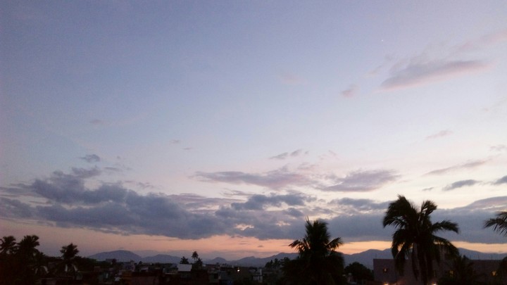 nature