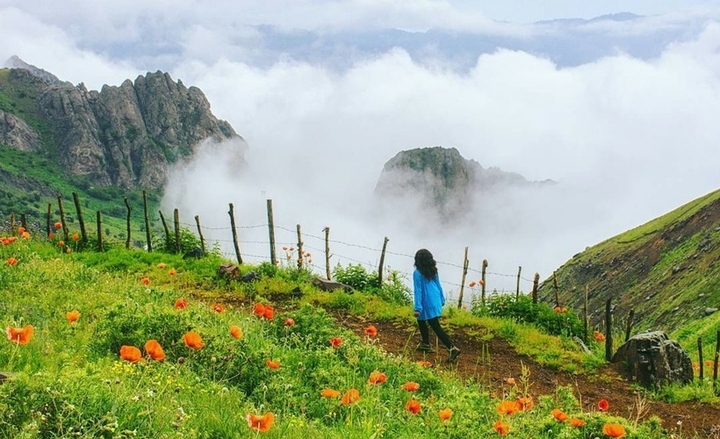 .IRAN