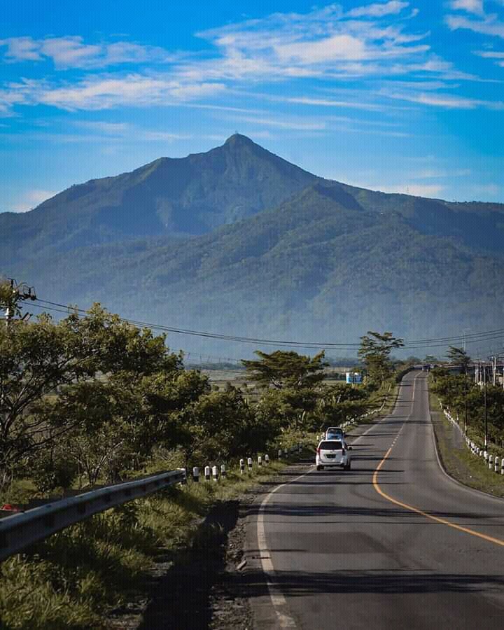 Street