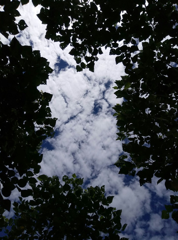 sky