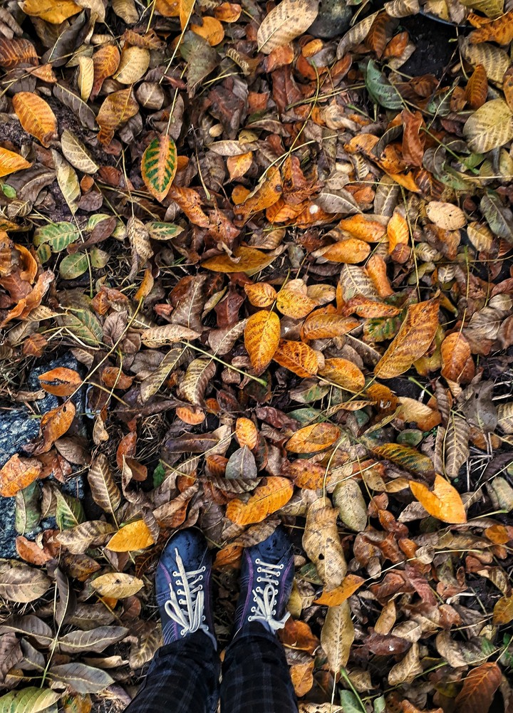 The autumn is near