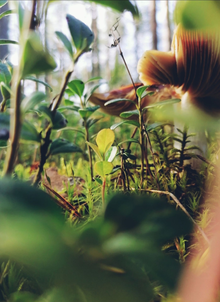 Micro world