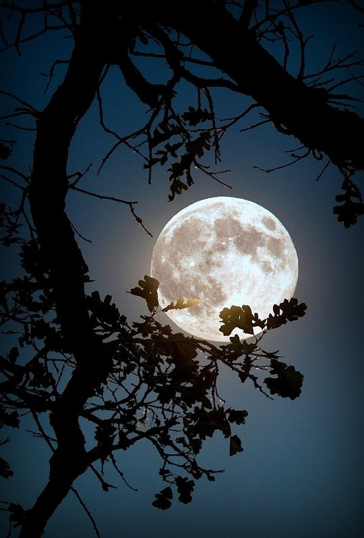 moon