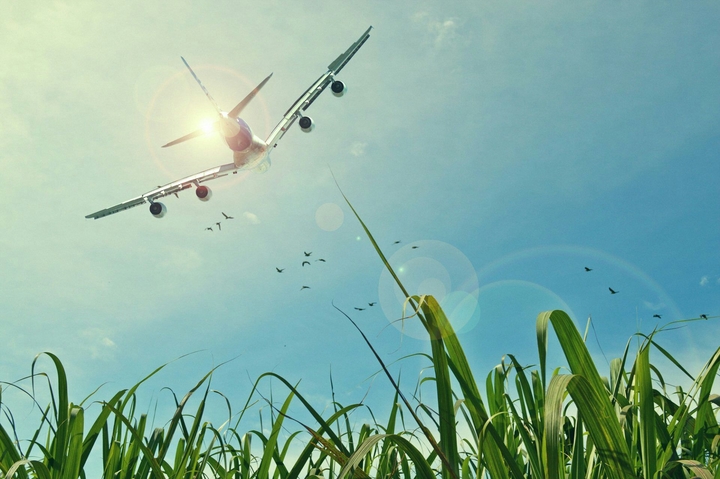 Airplane