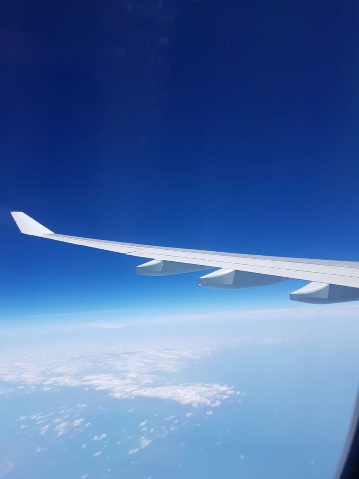 wing