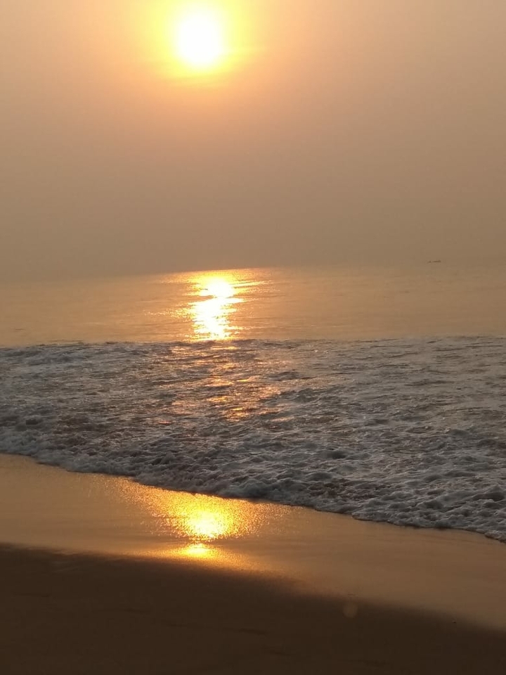 my own photography