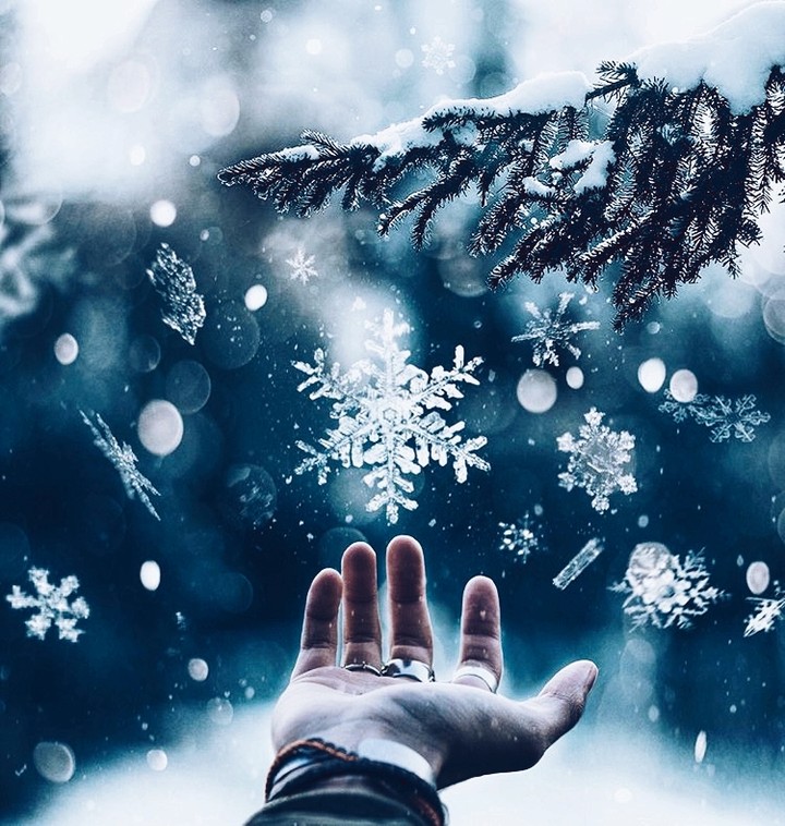 Frozen