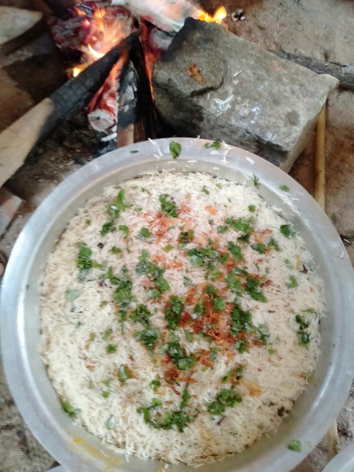 hyderabadi biryani