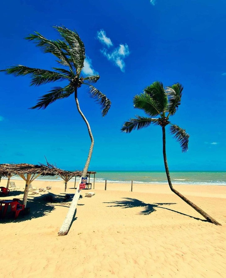 Touros/Rio Grande Do Norte/Brasil