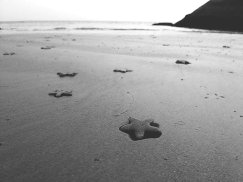 stars on sand....