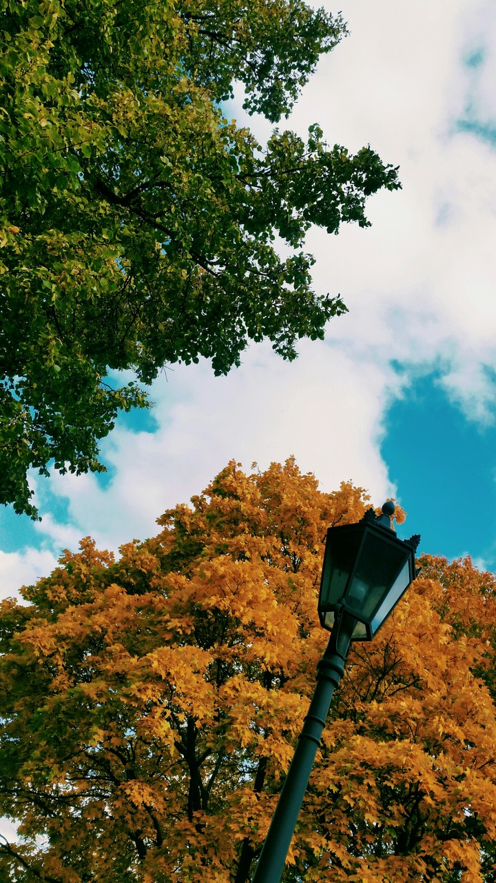 Autumn