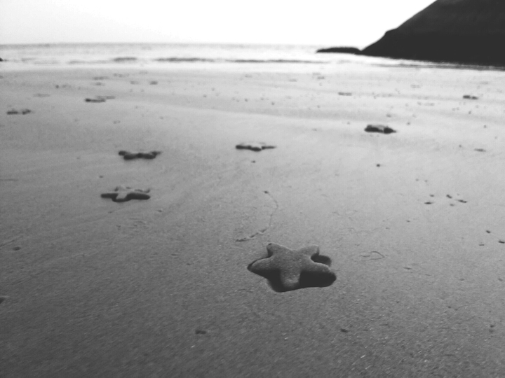 stars on sand....