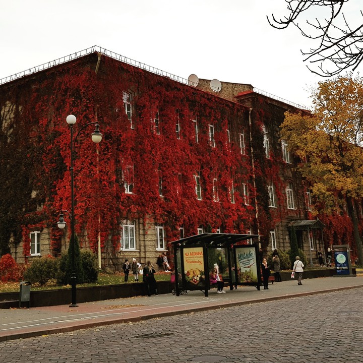 red autumn