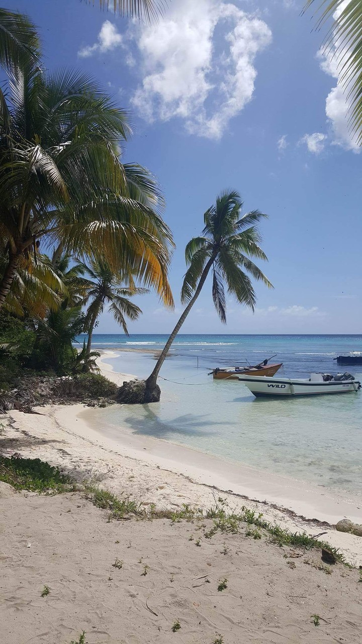 White beach