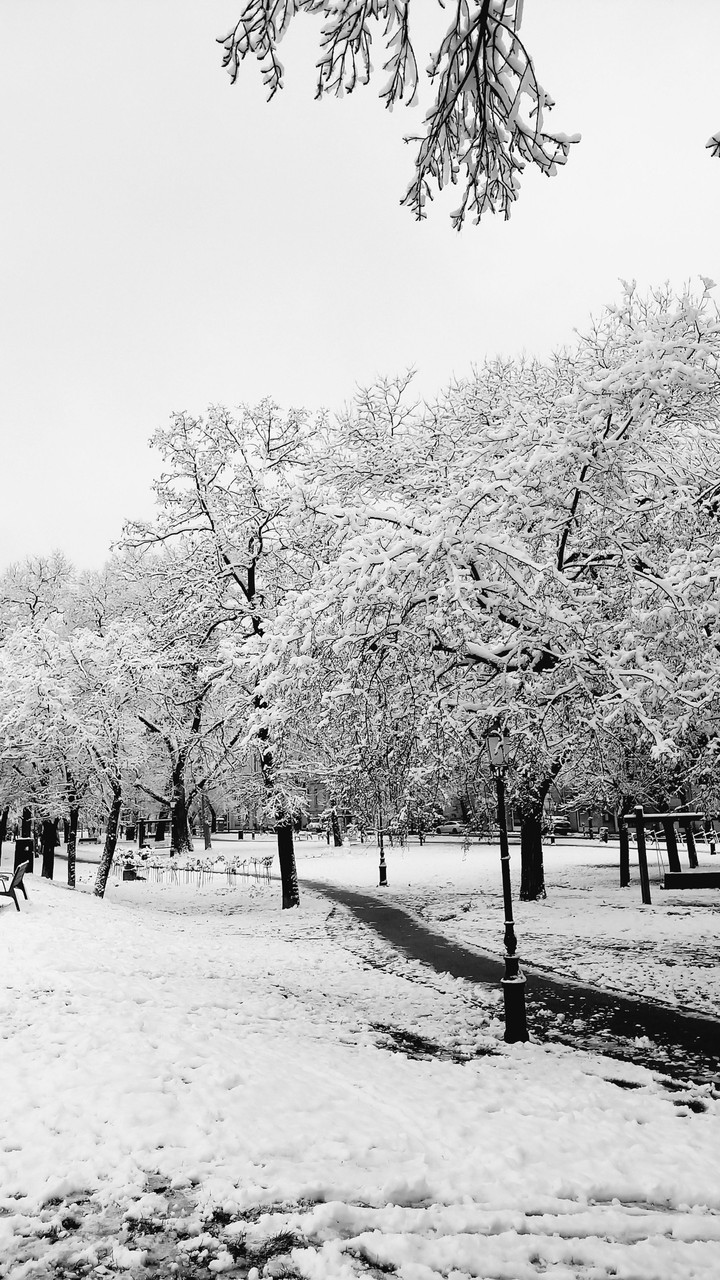 Snowland
