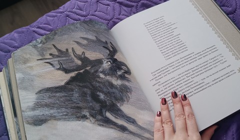 wolf, Moose achtergronden
