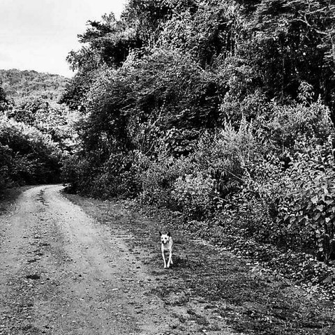 Sabará, MG, Brasil