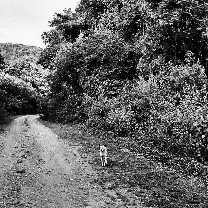 Sabará, MG, Brasil
