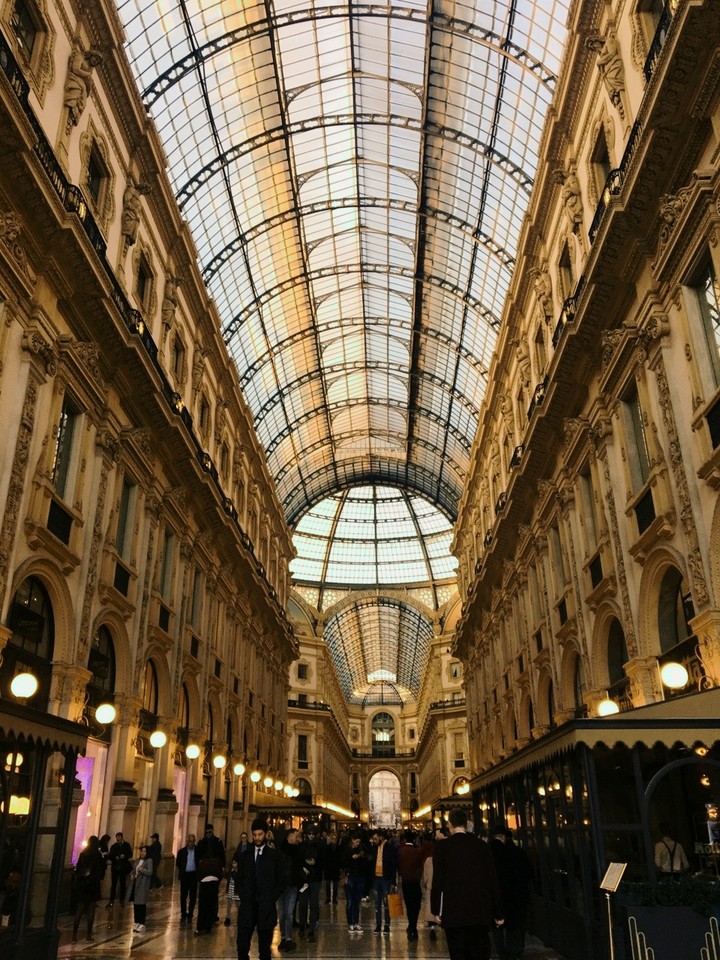 красота