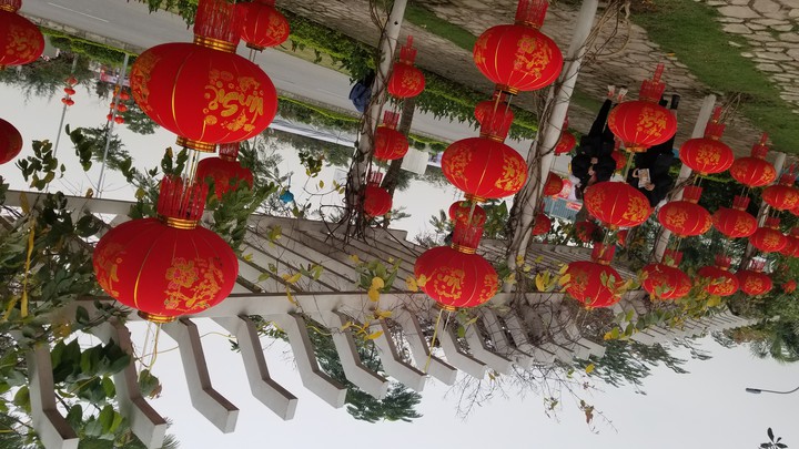 lantern
