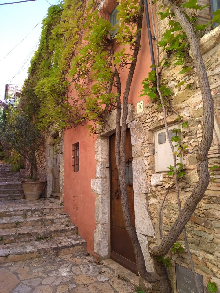 ruelle