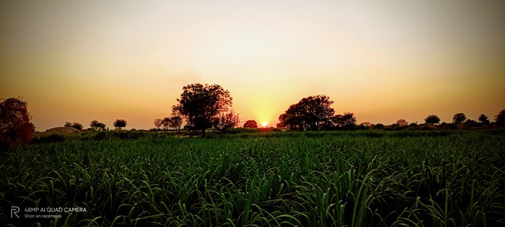 #Sunset