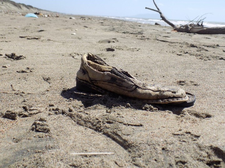 Natura calpestata dall’ uomo