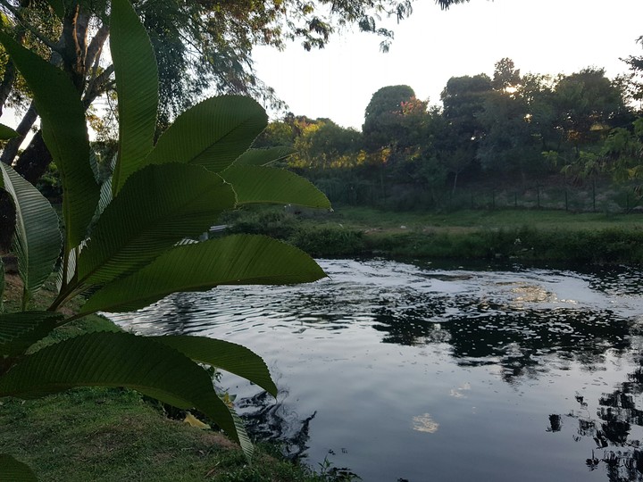 Nature