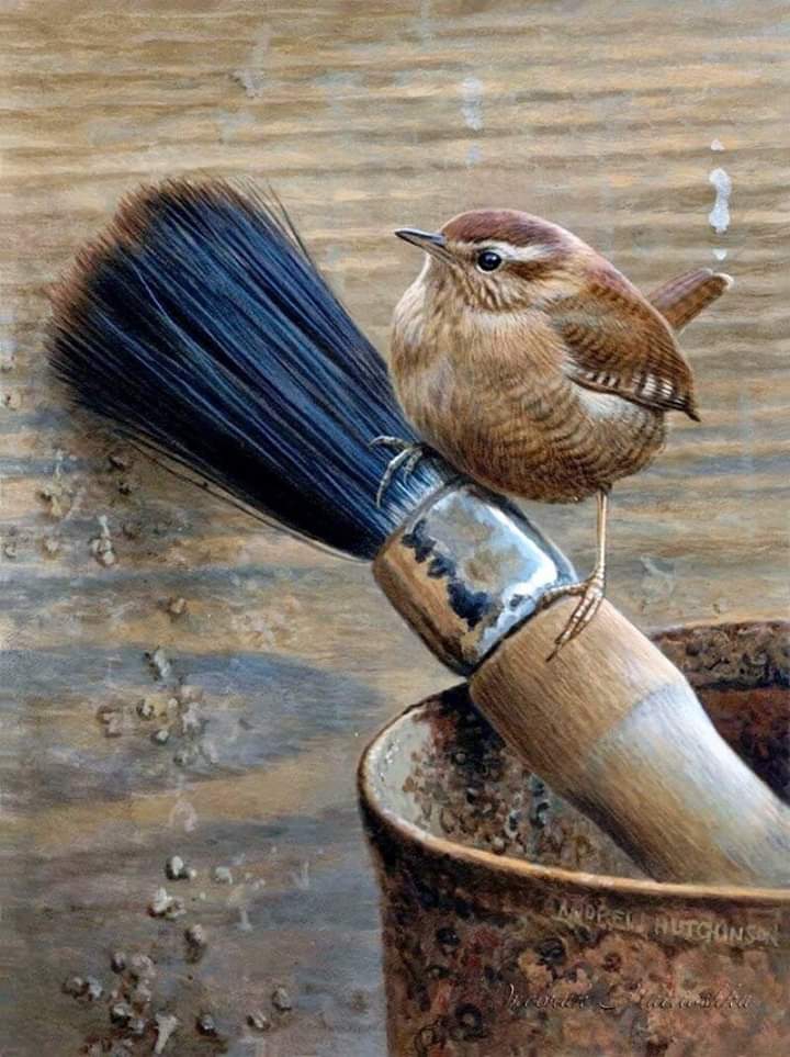 vida
