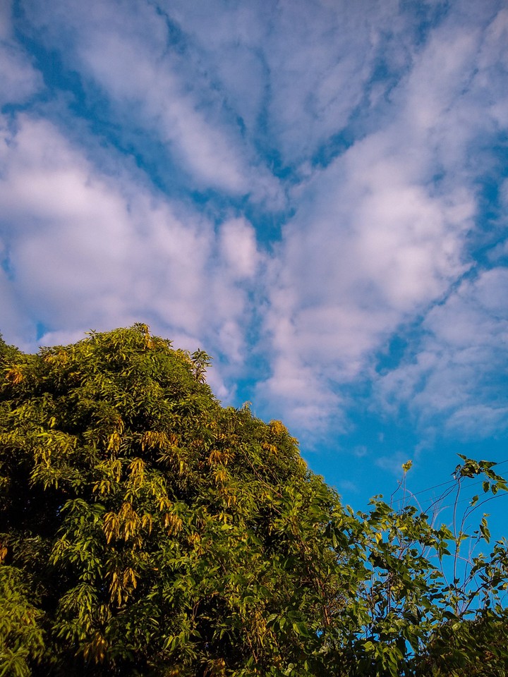 céu azul