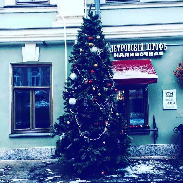 Ёлочка