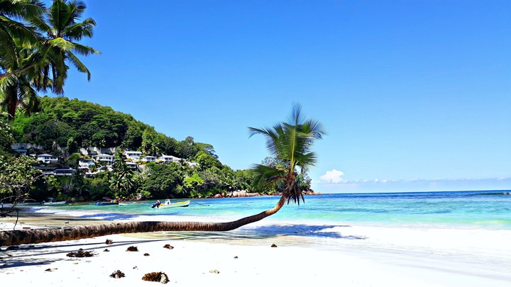 beachview