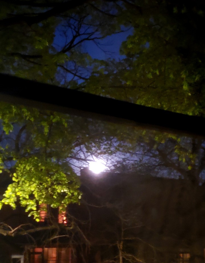 Super Pink Moon peaking over...4-30-21