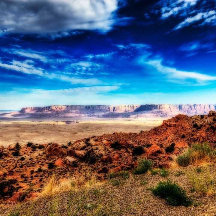 Landscape