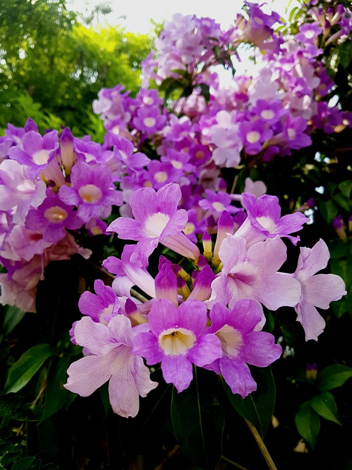 s photography