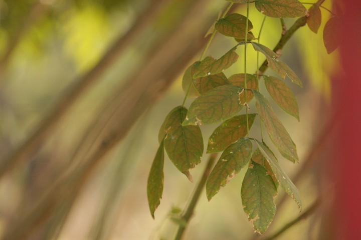 # Nature